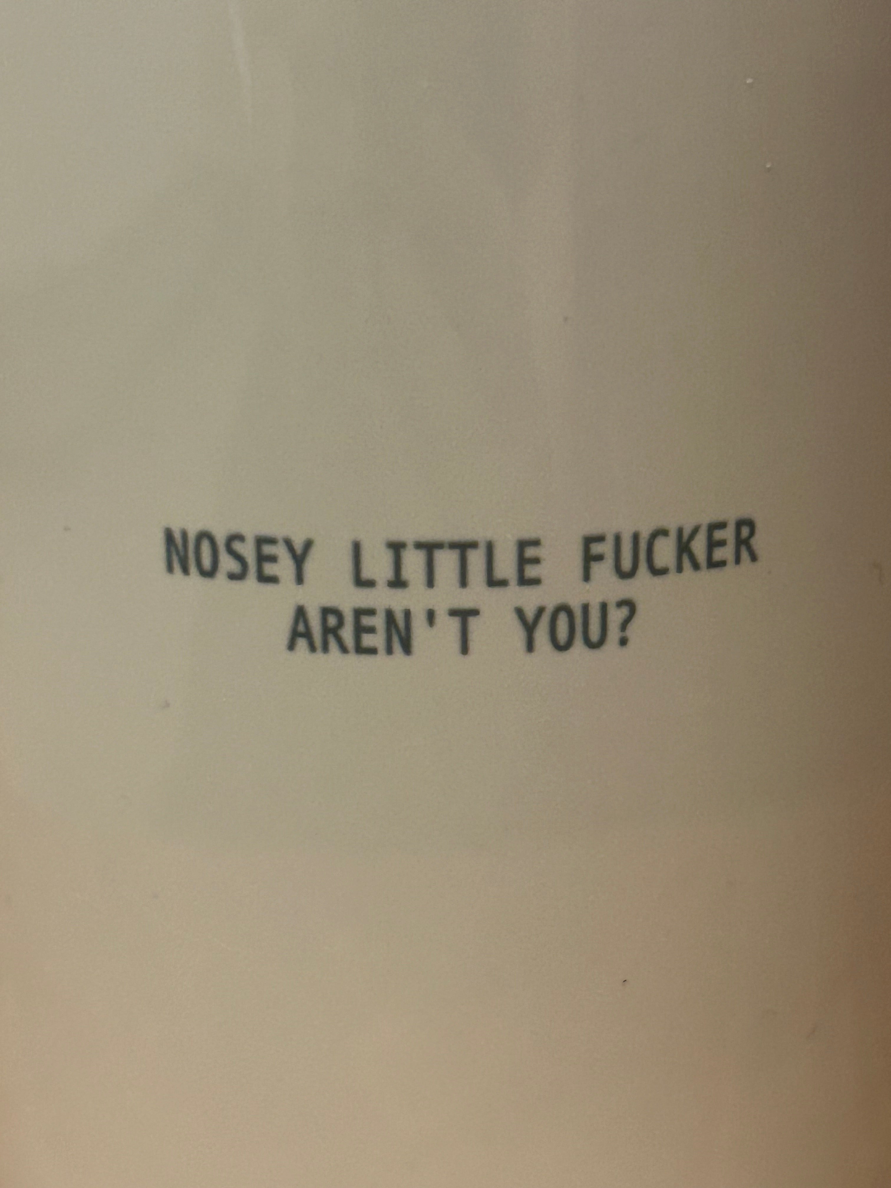 15oz Funny Nosey Coffee Mug