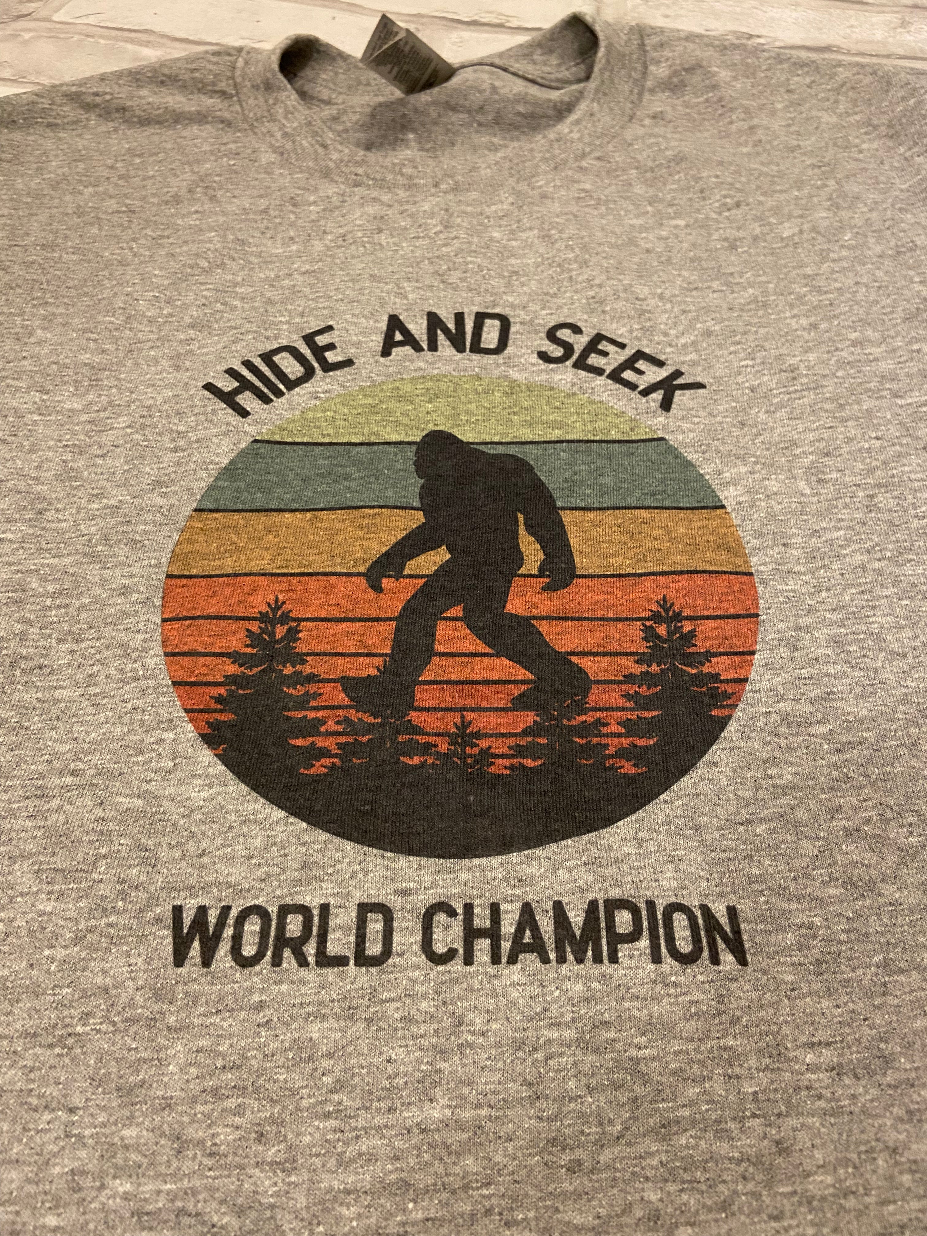 Hide And Seek World Champion